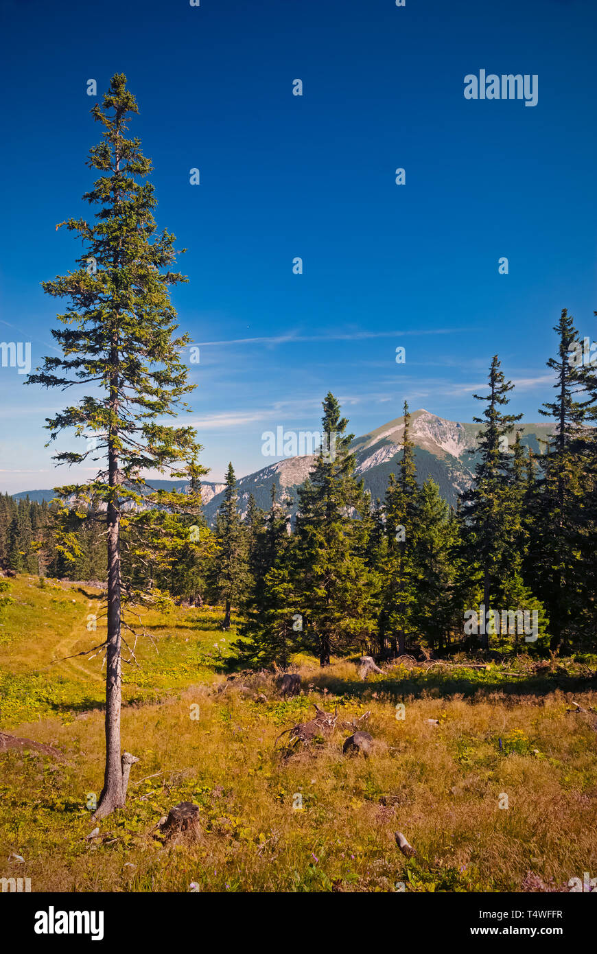 Escursionismo nel Raxalpe, Austria inferiore Foto Stock