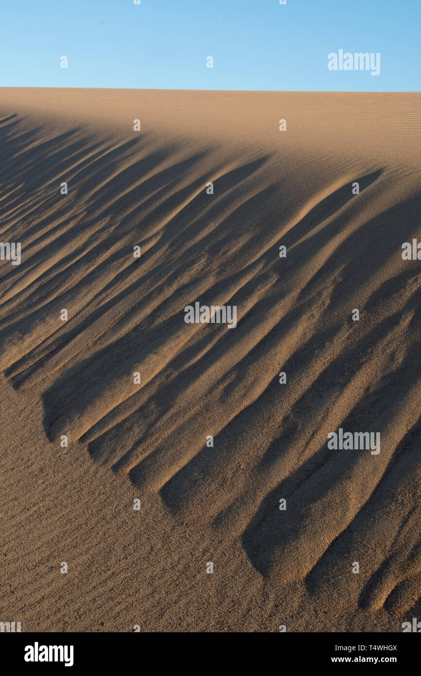 Dune di sabbia patterns al crepuscolo, Rincon Chico, Penisola Valdes, Patagonia, Argentina Foto Stock