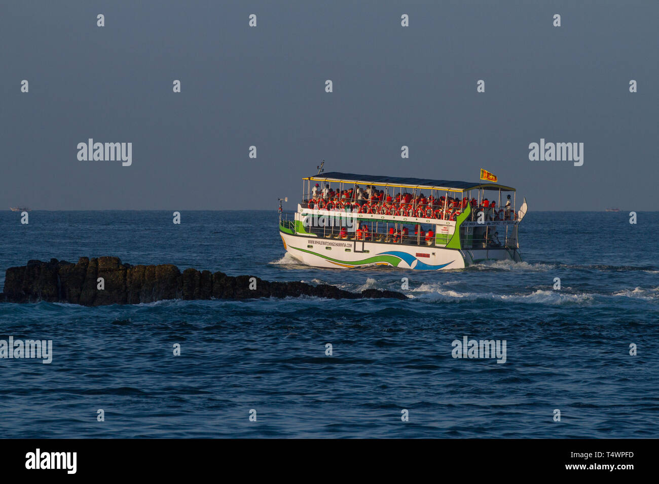 Whale watching barche cariche di turisti. Nei pressi di Marissa, Sri Lanka. Marzo 2019 Foto Stock