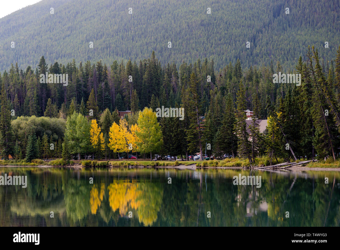 Il Parco Nazionale di Banff, Alberta, Canada / Settembre 11, 2016: una vista attraverso il Fiume Bow dal centro città di Banff nel Parco Nazionale di Banff, Alberta, Canad Foto Stock