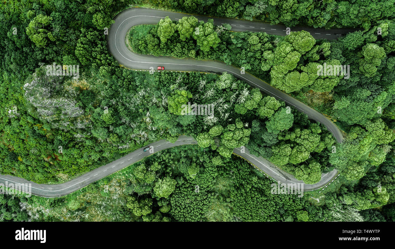Vista aerea di tortuosa strada attraverso il fitto bosco in alta montagna in Encumeada, Ribeira Brava, l'isola di Madeira. Foto Stock