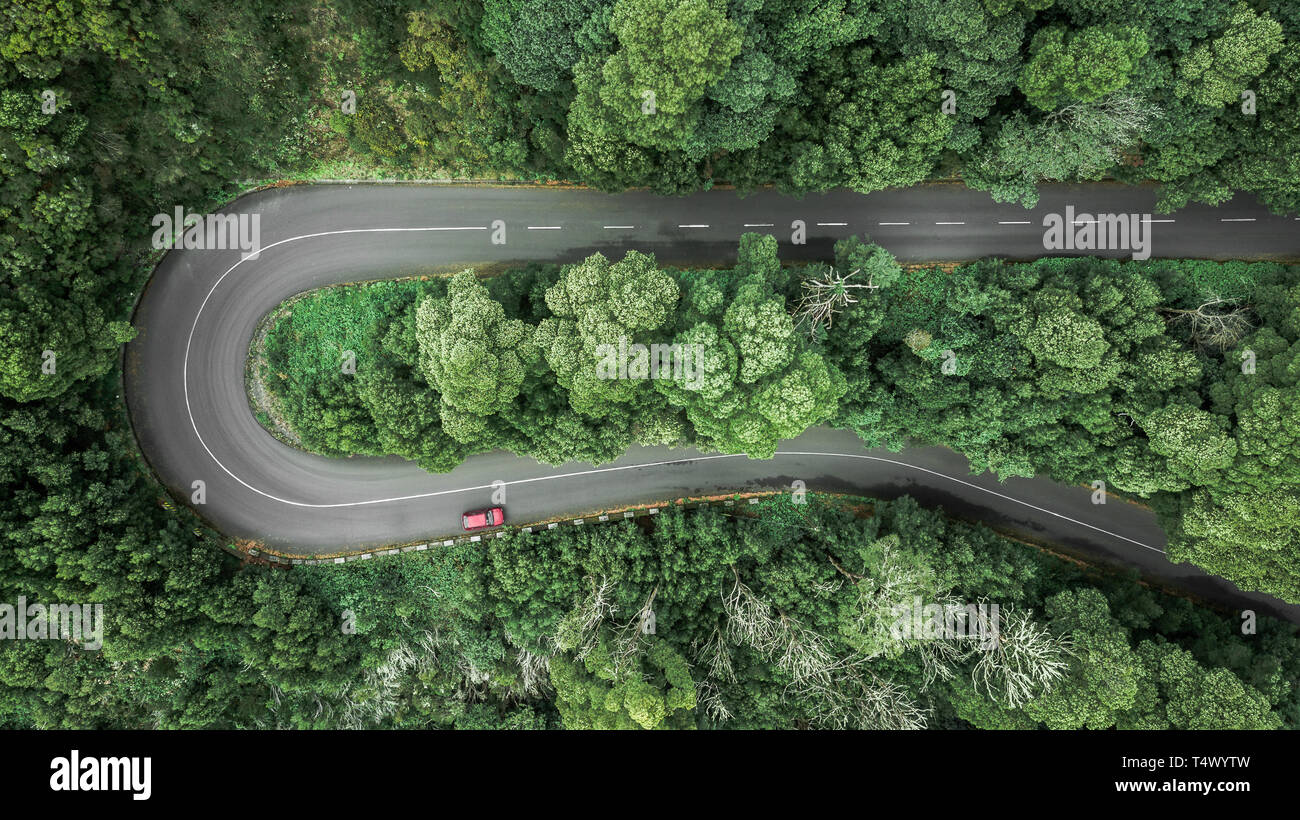 Vista aerea di tortuosa strada attraverso il fitto bosco in alta montagna in Encumeada, Ribeira Brava, l'isola di Madeira. Foto Stock