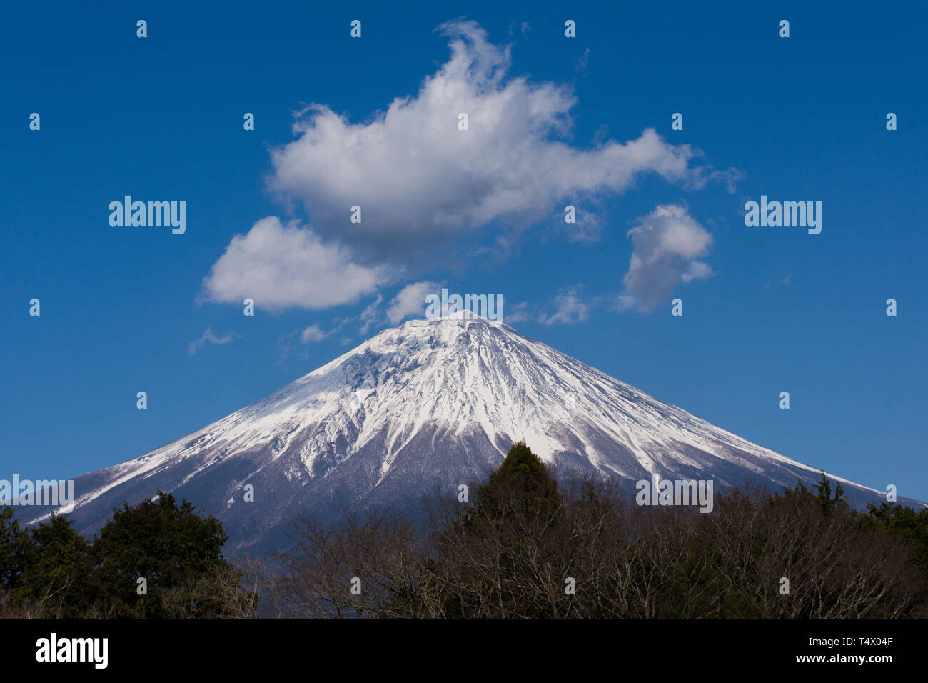 Il monte Fuji in una limpida giornata di sole Foto Stock