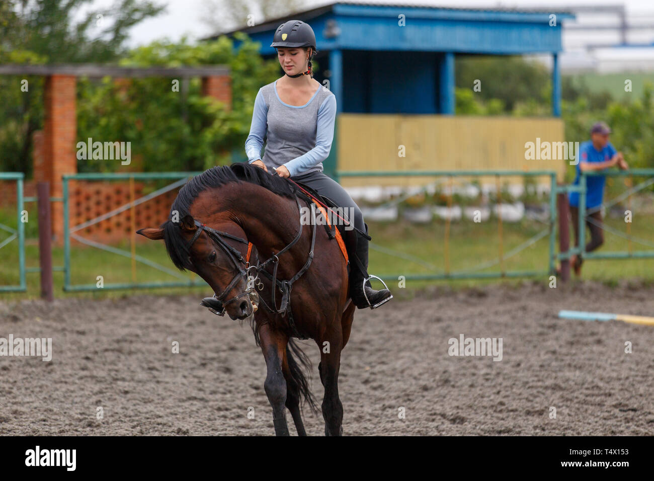 Giovane ragazza della baia di Equitazione su cavalli sport equestri di formazione. Foto Stock