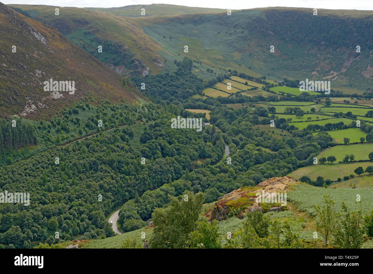La A470 Cardiff per Glan Conwy Trunk Road da Yr Wylorn vicino Rhayader Foto Stock