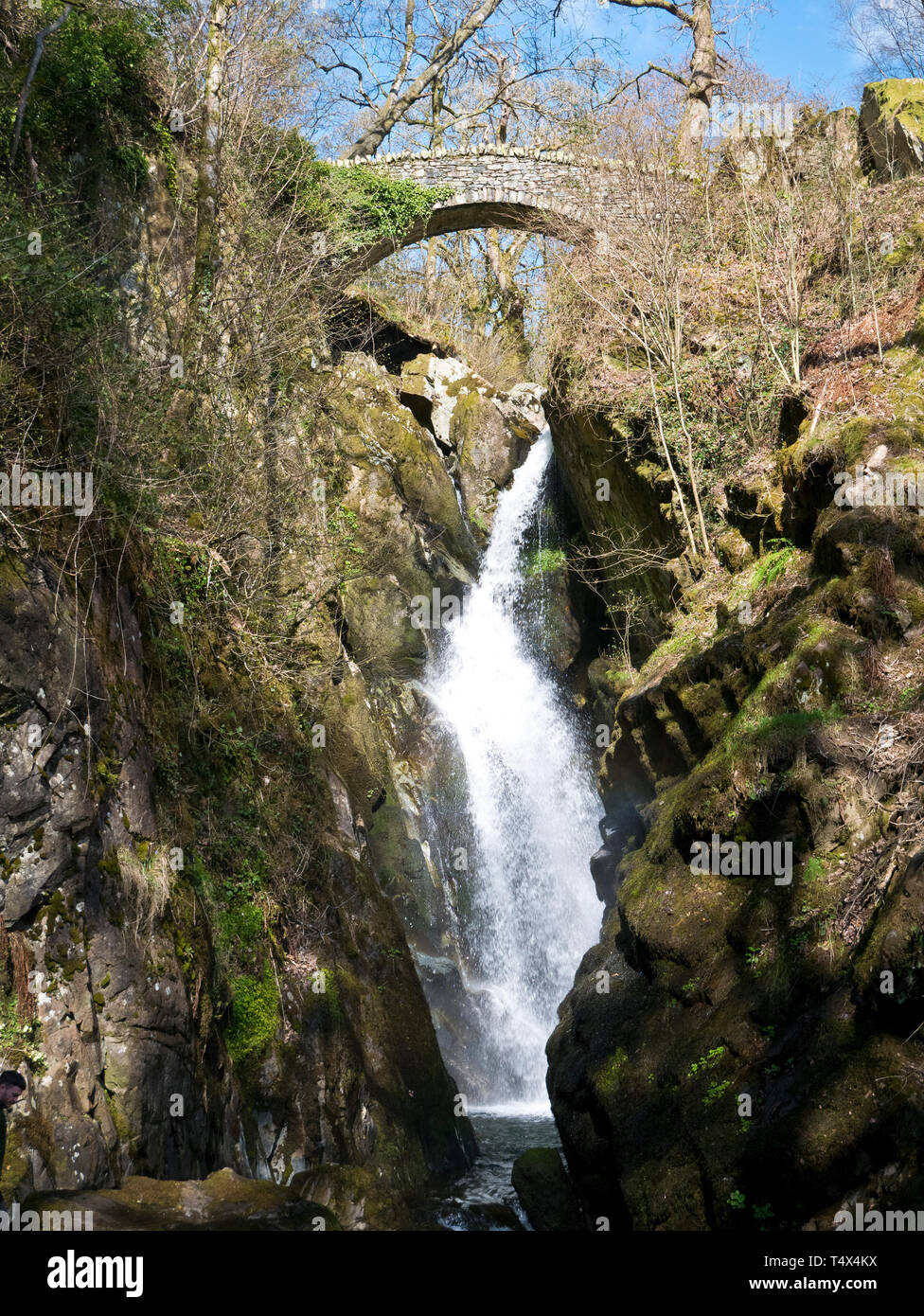 Aira Force cascata nel distretto del lago, Cumbria in North West England, Regno Unito Foto Stock