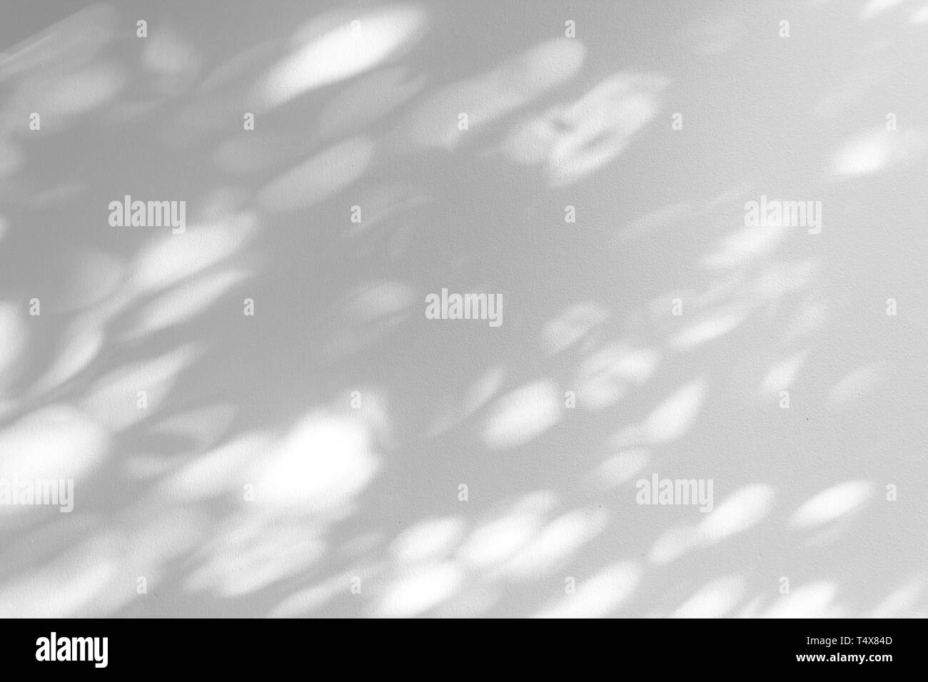Sfumatura ombra delle foglie sulla parete bianca di sfondo astratto. Foto Stock