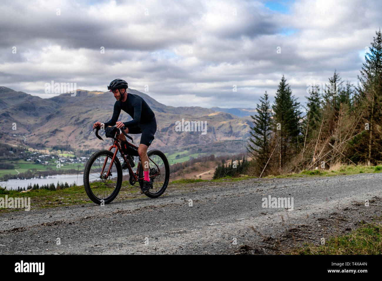 Un uomo cicloturismo lungo una pista di ghiaia a Grizedale Forest guardando oltre Coniston Water nel distretto del lago, Inghilterra, ghiaia bike, il cicloturismo. Foto Stock