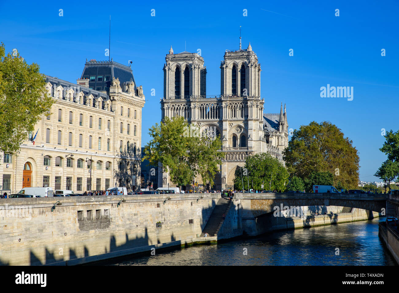 La cattedrale di Notre Dame e il Fiume Senna a Parigi, Francia Foto Stock La cattedrale di Notre Dame e il Fiume Senna a Parigi, Francia Foto Stock