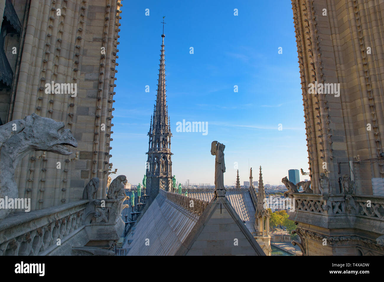 Vista del Doccione e il centro la torre dalla parte superiore della cattedrale di Notre Dame a Parigi, Francia Foto Stock
