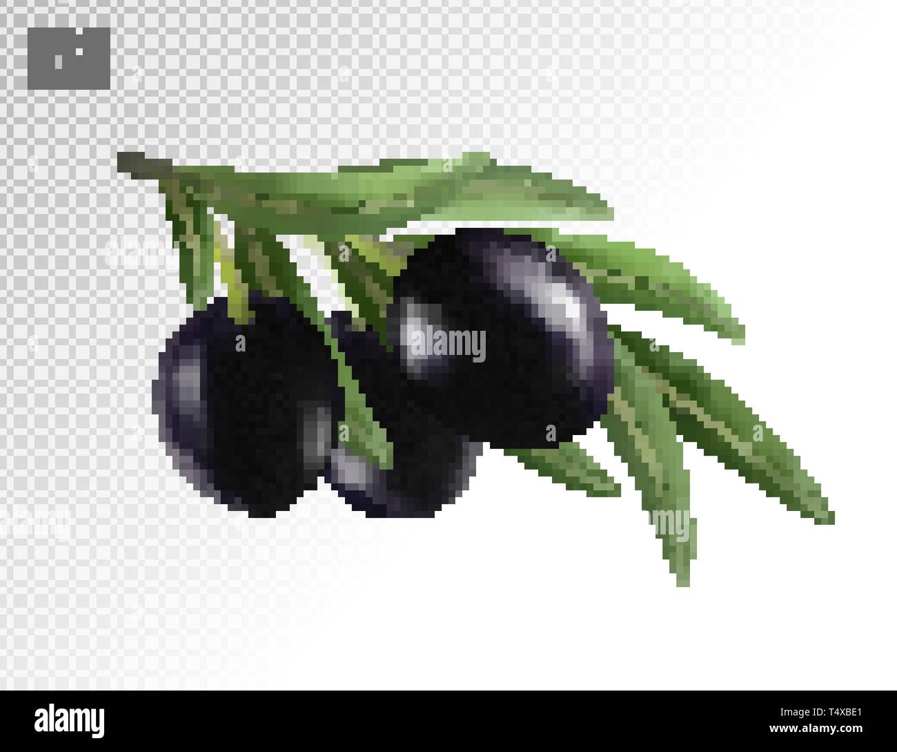 Olive isolato. Tre nero oliva frutti su un ramo con foglie isolati su sfondo trasparente. Foto realistiche di vettore, 3d Illustrazione Vettoriale