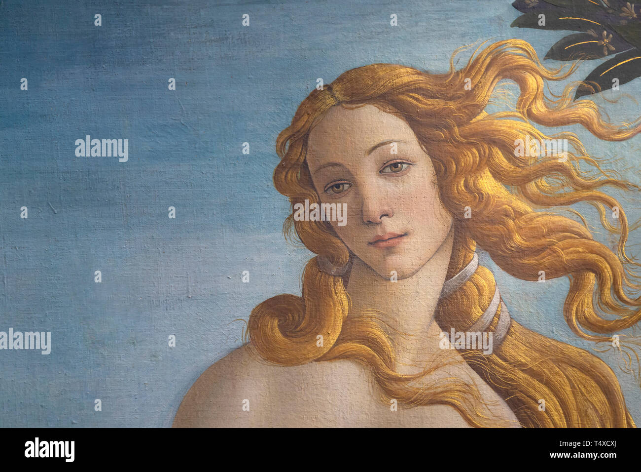 Nascita di Venere, dettaglio, Sandro Botticelli, circa 1485, Galleria degli Uffizi, Galleria degli Uffizi, Firenze, Toscana, Italia Foto Stock