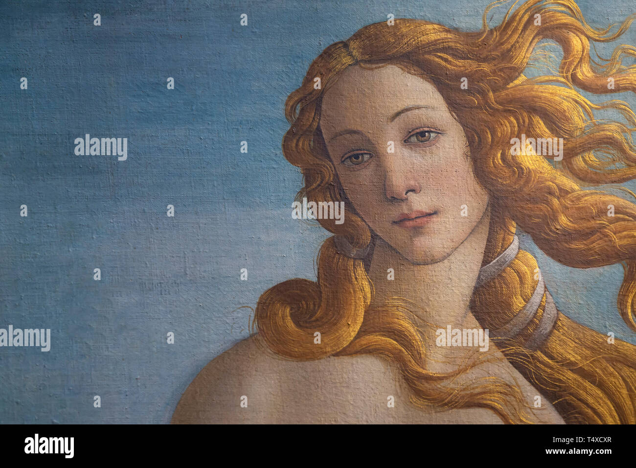 Nascita di Venere, dettaglio, Sandro Botticelli, circa 1485, Galleria degli Uffizi, Galleria degli Uffizi, Firenze, Toscana, Italia Foto Stock