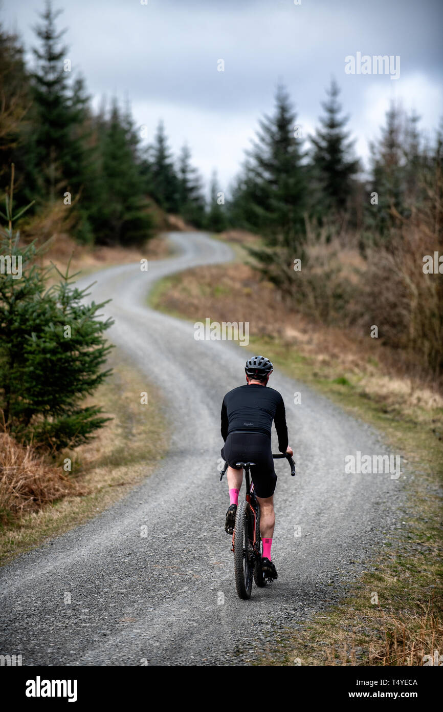 Un uomo cicloturismo lungo una pista di ghiaia a Grizedale Forest nel distretto del lago, Inghilterra, ghiaia bike, il cicloturismo. Foto Stock