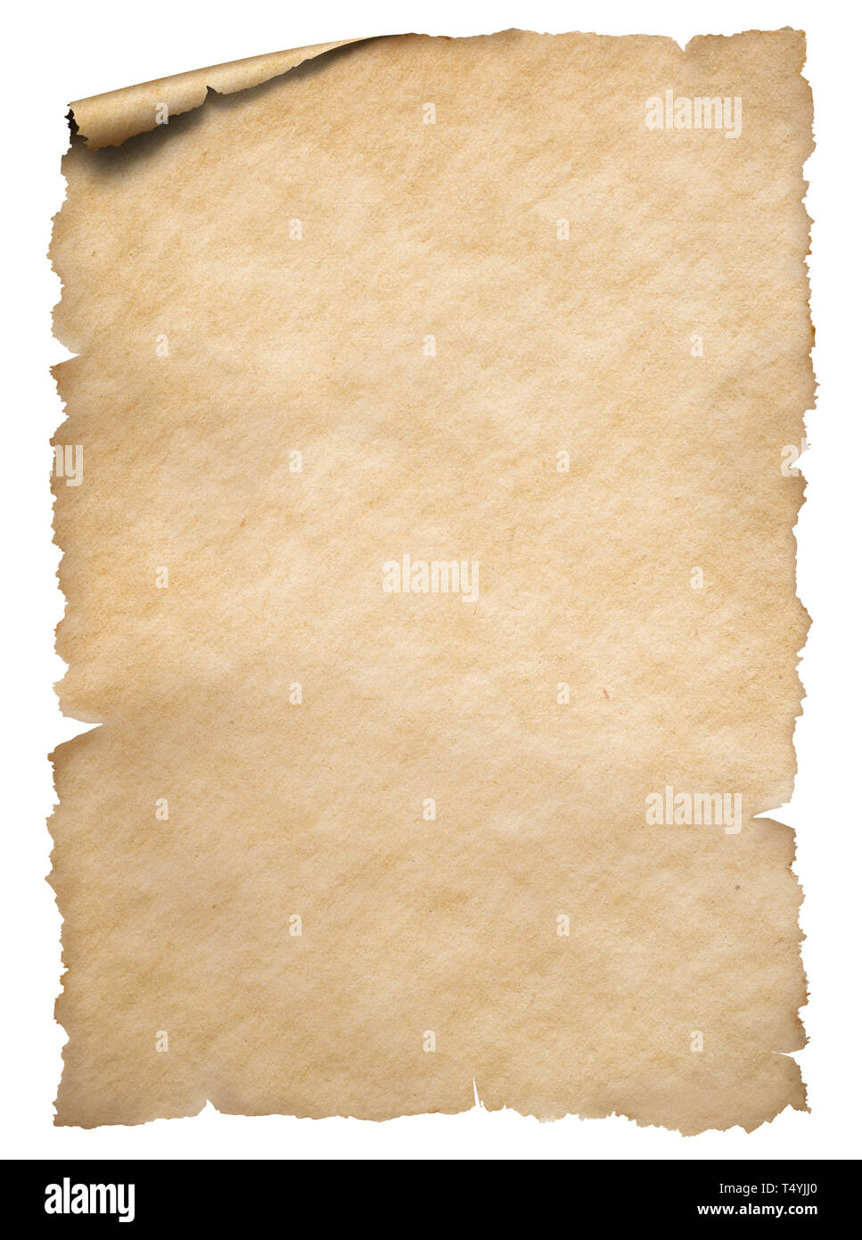 Vecchio i bordi strappati foglio di carta isolato su bianco Foto Stock
