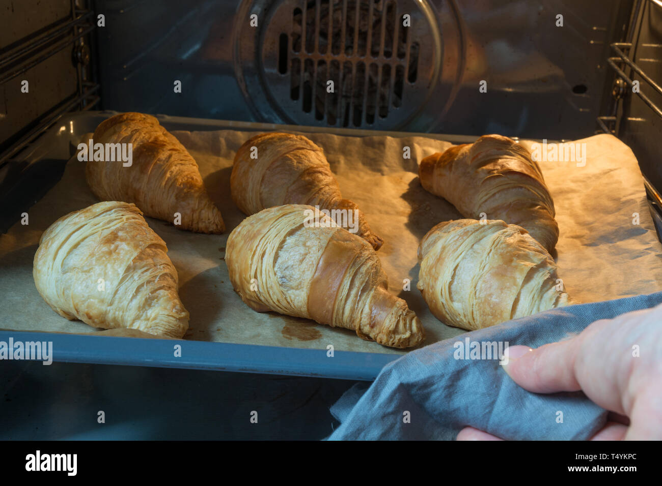Fresh croissant fatti in casa sul vassoio di cottura in forno. Panetteria francese concetto. Specialista culinaria Controlli la disponibilità di cottura. Foto Stock