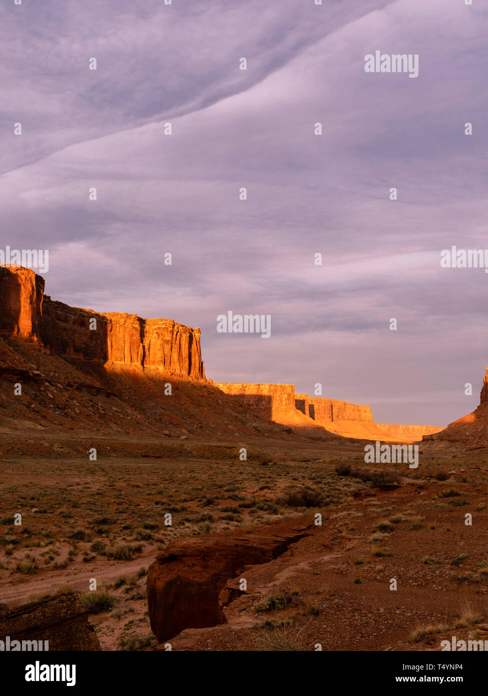 Immagine di un butte nel Canyon di Taylor area in una sezione di distributori dell'isola nel cielo Distretto del Parco Nazionale di Canyonlands, San Juan County, Utah, Foto Stock