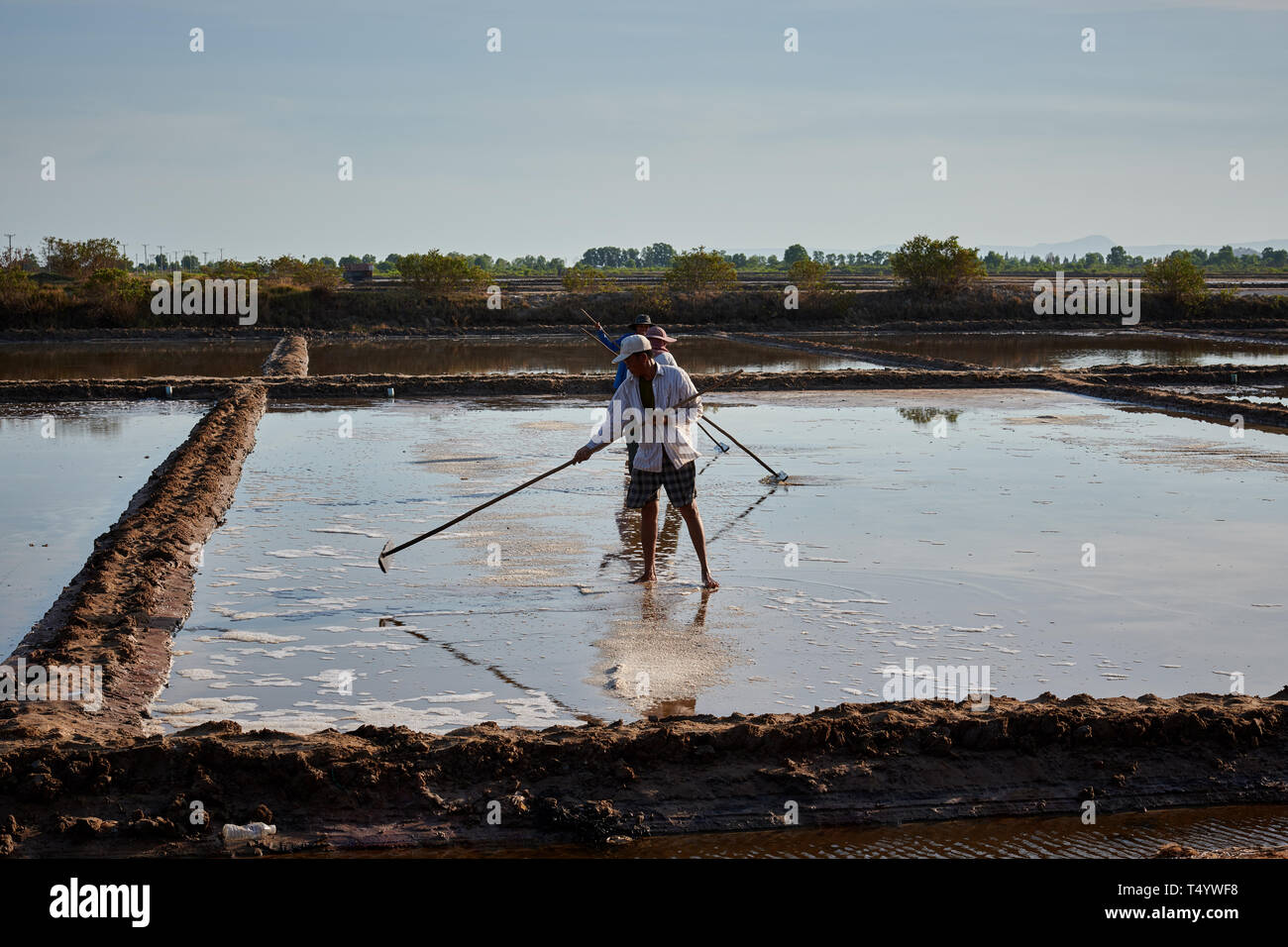 Agricoltura di sale tradizionale cambogiana Foto Stock