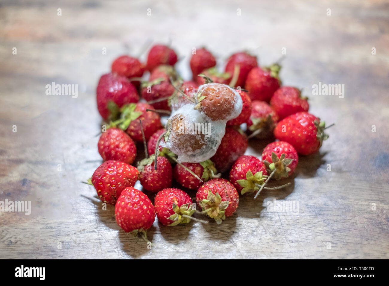 Fragola sono funghi sulla pila fresche Fragole Foto Stock