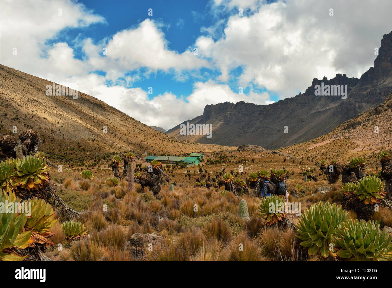 I paesaggi vulcanici del monte Kenya Foto Stock