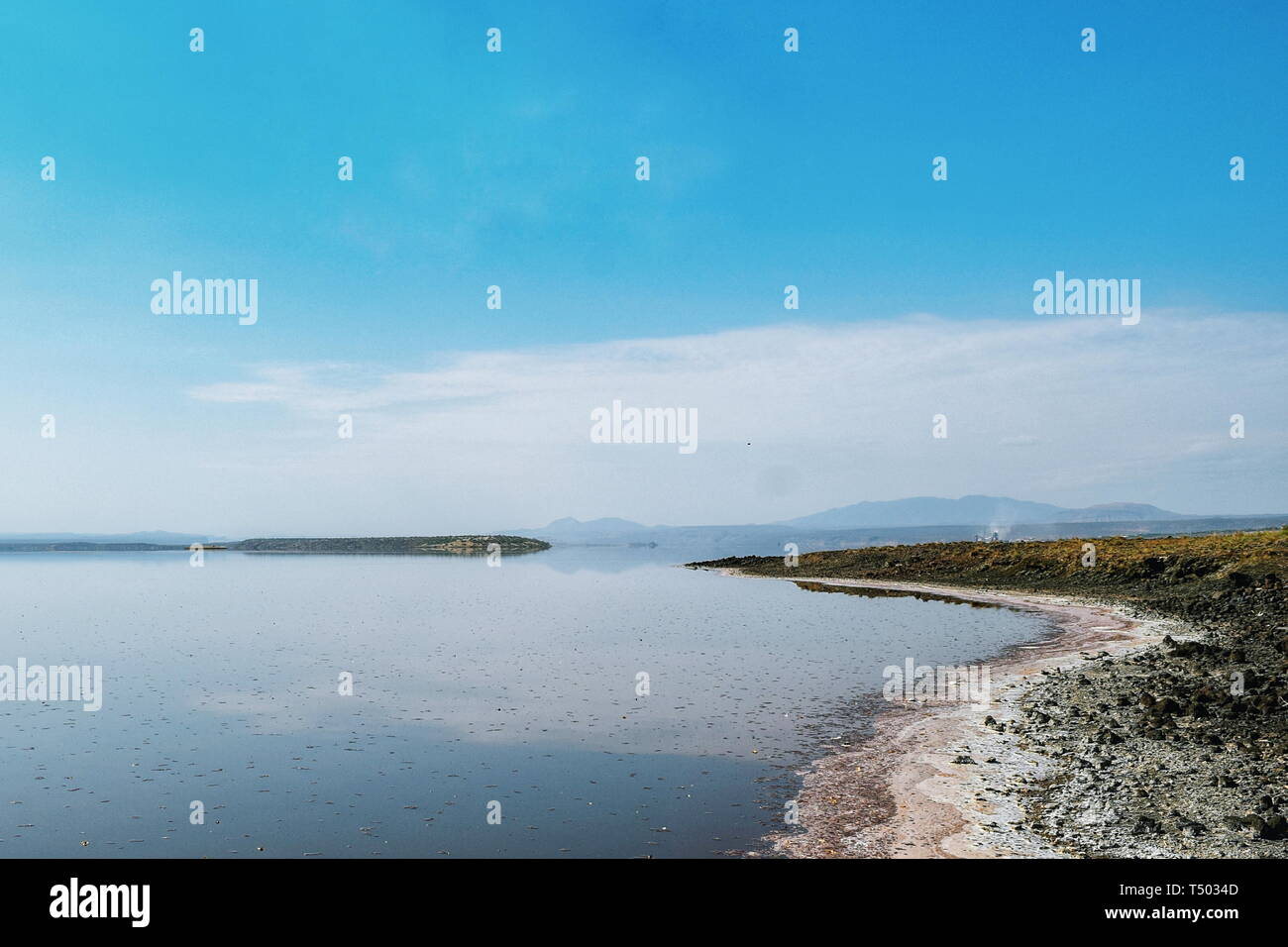 Le alghe colorate sulle rive del lago Magadi in Kenya Foto Stock