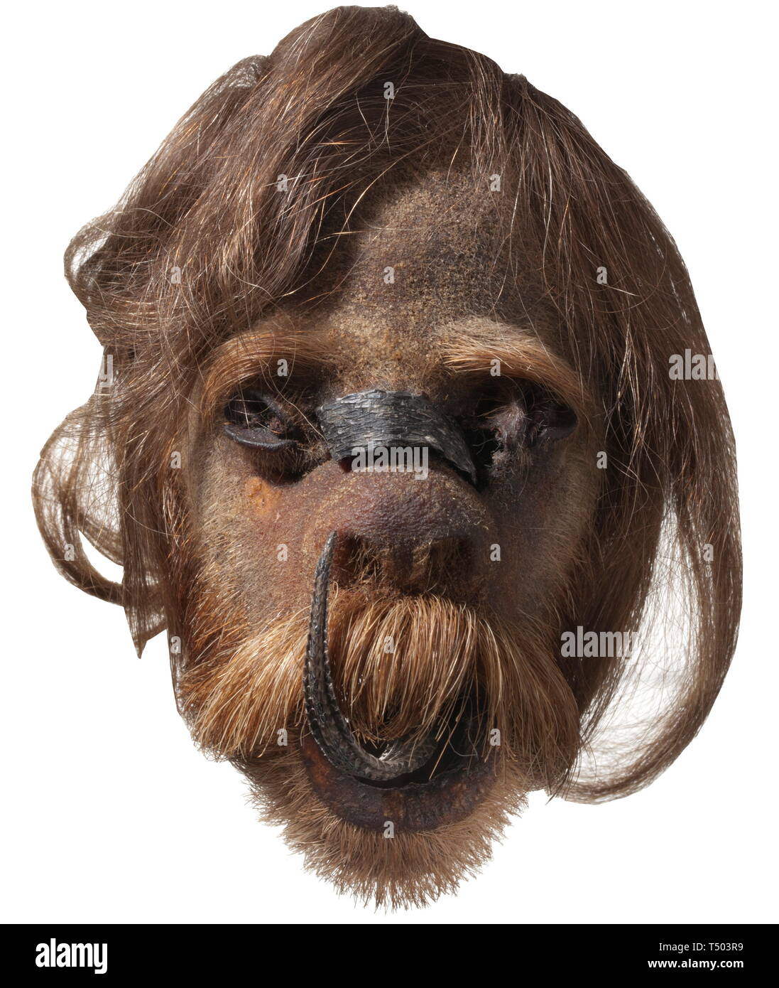 Una una testa rimpicciolita, xx secolo. Dal marrone chiaro al rossiccio pelo grigio con striature. Accendino colorato a folte sopracciglia e denso di colore rossastro ginger capelli facciali con distintivi di baffi. La parte posteriore del cuoio capelluto e del collo rimosso per l'estrazione del cranio. L'interno dell'una testa rimpicciolita con un pezzo di trattare la pelle di serpente che è stata tirata attraverso feritoie sopra il ponte nasale, la coda sporgente lingua-simili dalla largamente aperto bocca. Altezza 13 cm. Le caratteristiche esterne di questo una testa rimpicciolita indicano che la persona che non appartengono ad un etnica, Additional-Rights-Clearance-Info-Not-Available Foto Stock