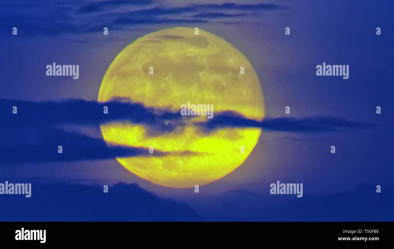 Glasgow, Scotland, Regno Unito, 19 aprile 2019, UK Meteo: Parzialmente nuvoloso cielo mostra aprile luna piena, particolarmente significativo perché è utilizzato per impostare la data per la Pasqua che è la domenica successiva alla prima luna piena dopo l'equinozio di primavera. Anche chiamato Luna Rosa, la germogliazione erba Luna, uovo Luna e pesci luna sul West End della città. Credito traghetto Gerard/Alamy Live News Foto Stock