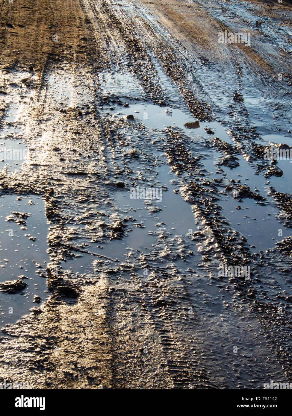 Sporco strada rurale con profonde tracce di pneumatici, cattiva strada Nozione Foto Stock