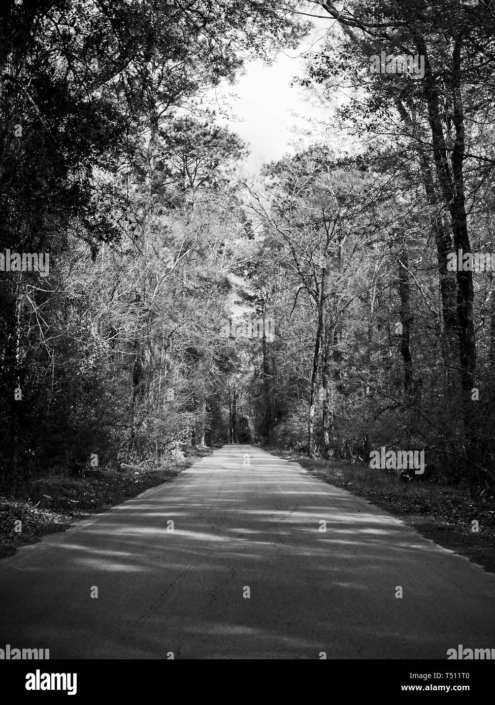 Texas USA - 03/08/2019 - Una corsia Road to Nowhere in Sud TX in B&W Foto Stock
