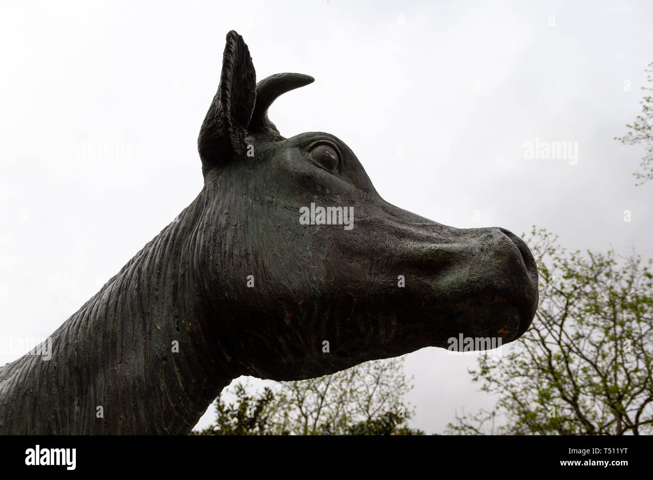 Cazoña, Santander, Spagna - 04 18 2019: Testa della statua di vacca in il Dottor Morales'park Foto Stock