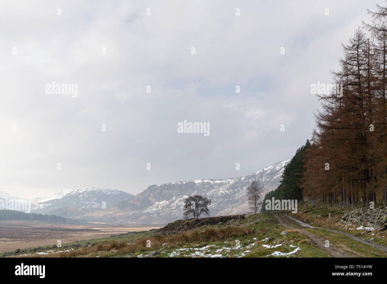 Una vista da Middleton di Aberarder nel Parco Nazionale di Cairngorms, Scozia, guardando verso Felagie, Craig Porro & Carn nan Sgliat. Foto Stock