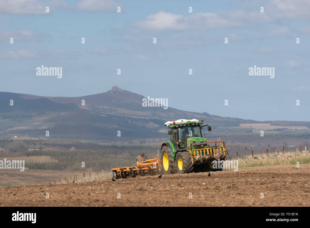 Bennachie in Rural Aberdeenshire fornisce lo sfondo per questa scena di un agricoltore la preparazione di un campo per la semina Foto Stock