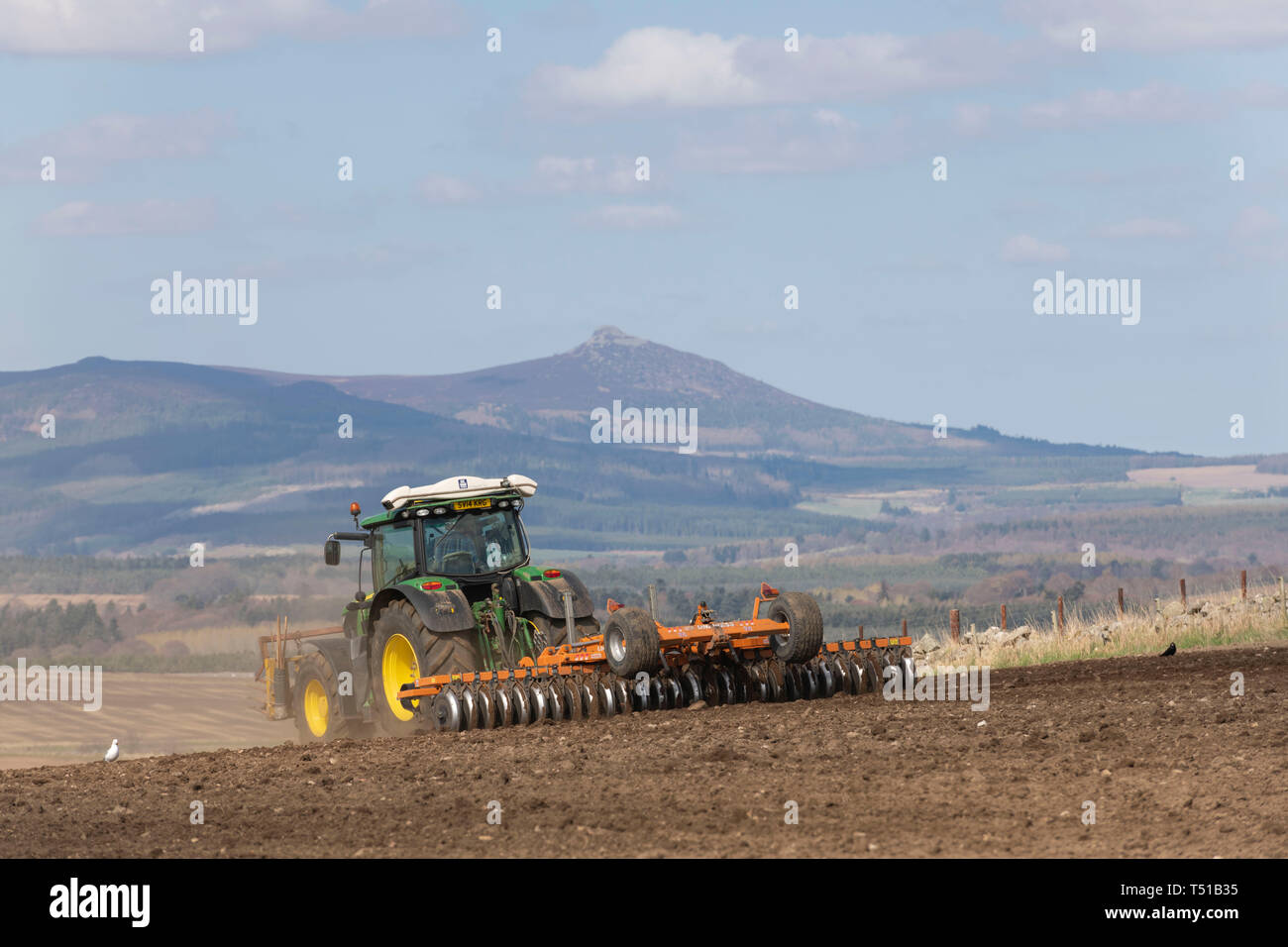 Bennachie in Rural Aberdeenshire fornisce lo sfondo per questa scena di un agricoltore la preparazione di un campo per la semina Foto Stock