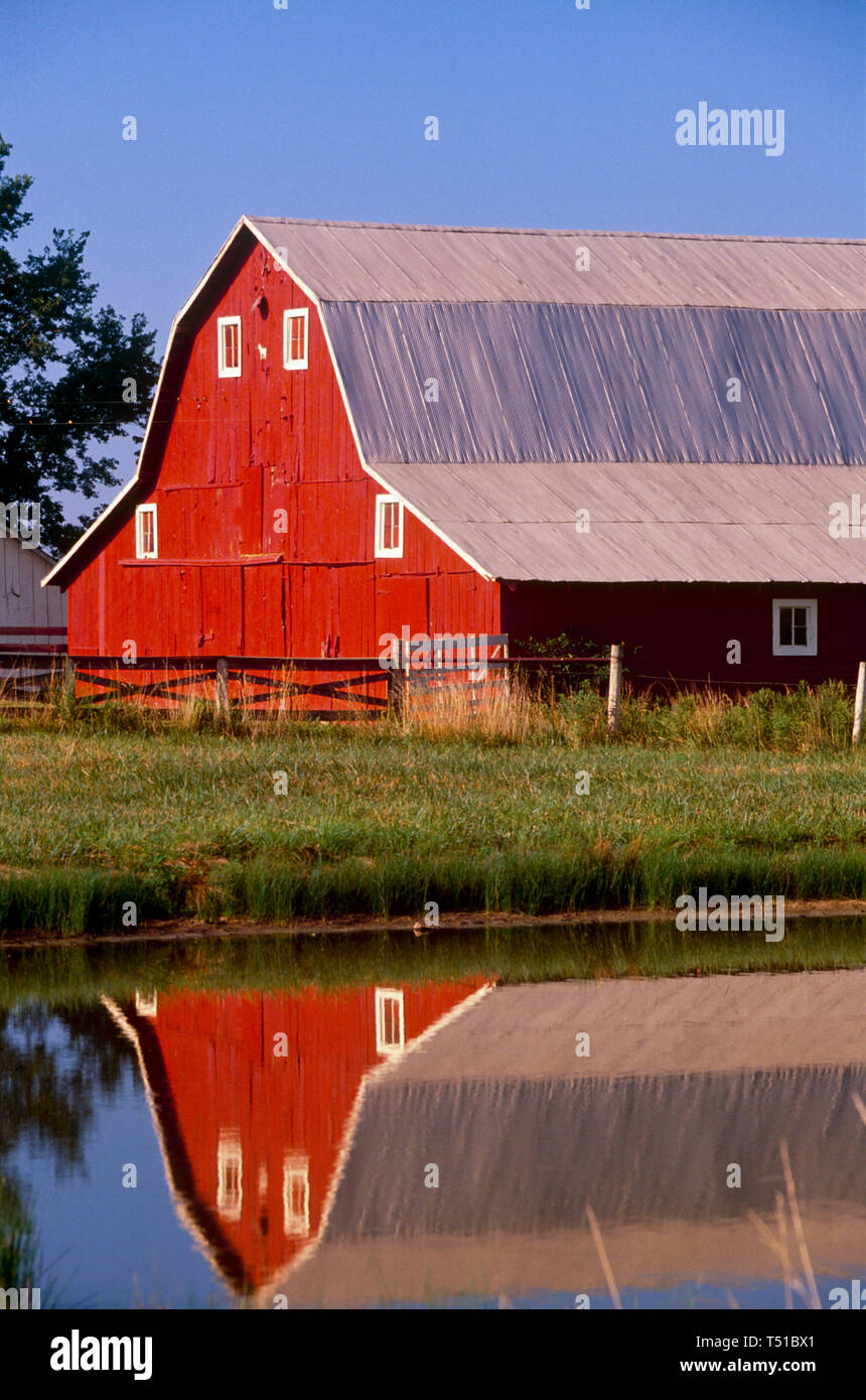 Idilliaco Midwestern rurali dipinte di rosso fienile nel pomeriggio la luce riflessa nel lago, Missouri, Stati Uniti d'America Foto Stock