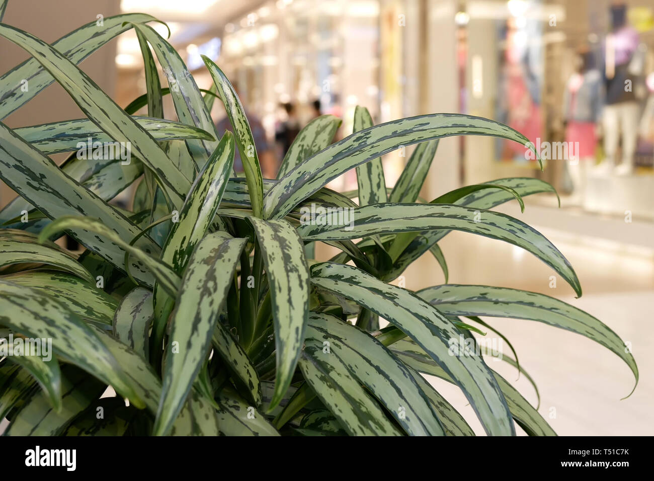 La sfocatura movimento delle persone all'interno dello shopping Burnaby shopping mall Foto Stock