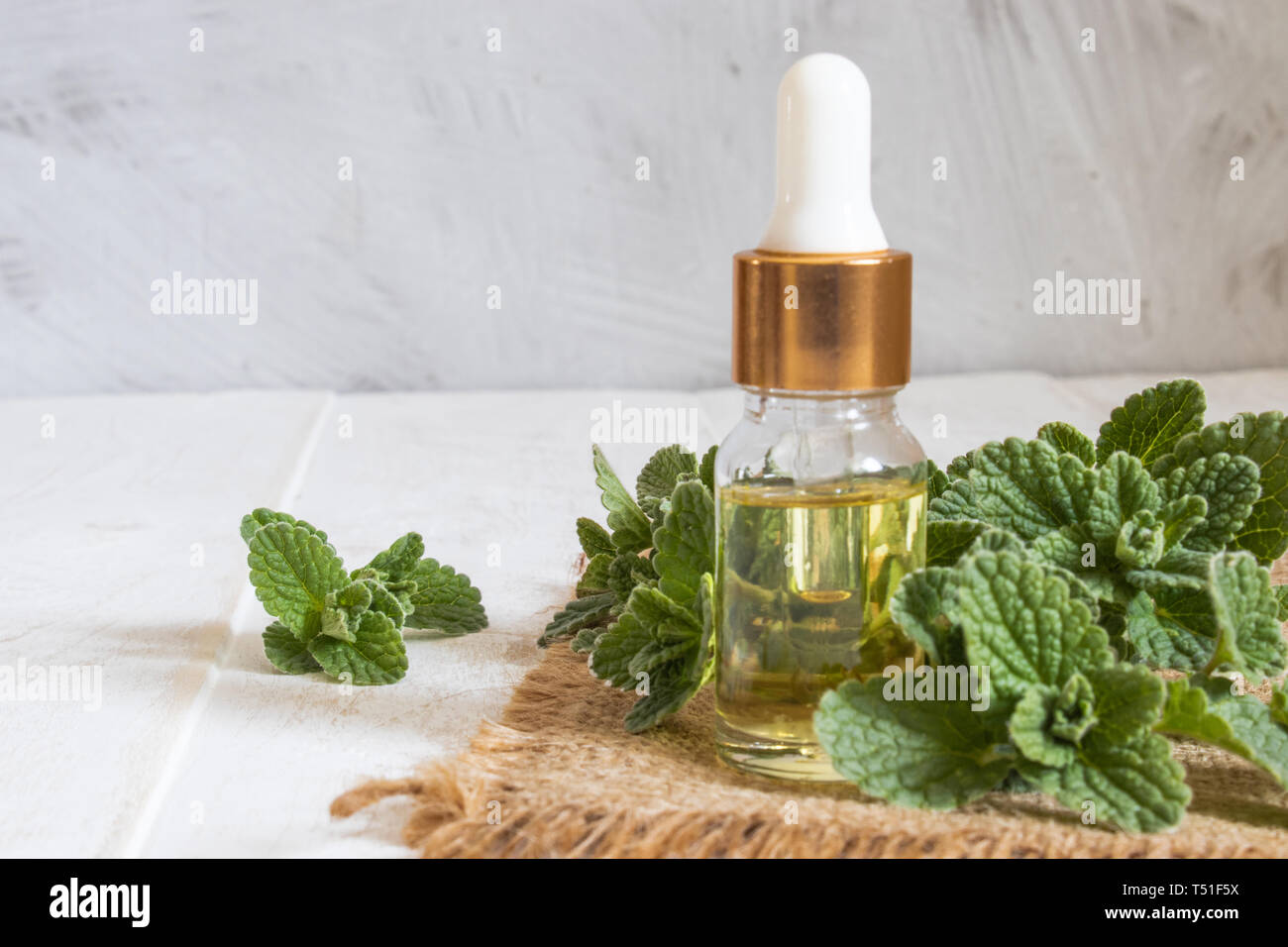 Organici di olio essenziale di menta in un piccolo vaso di vetro con foglie verdi. Olio essenziale naturale di menta. Foto Stock