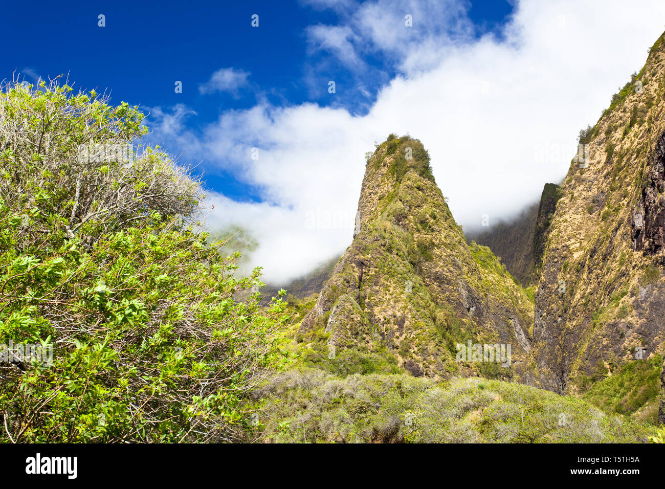 Il famoso Iao ago nella Iao Valley State Park a Maui, Hawaii. Foto Stock
