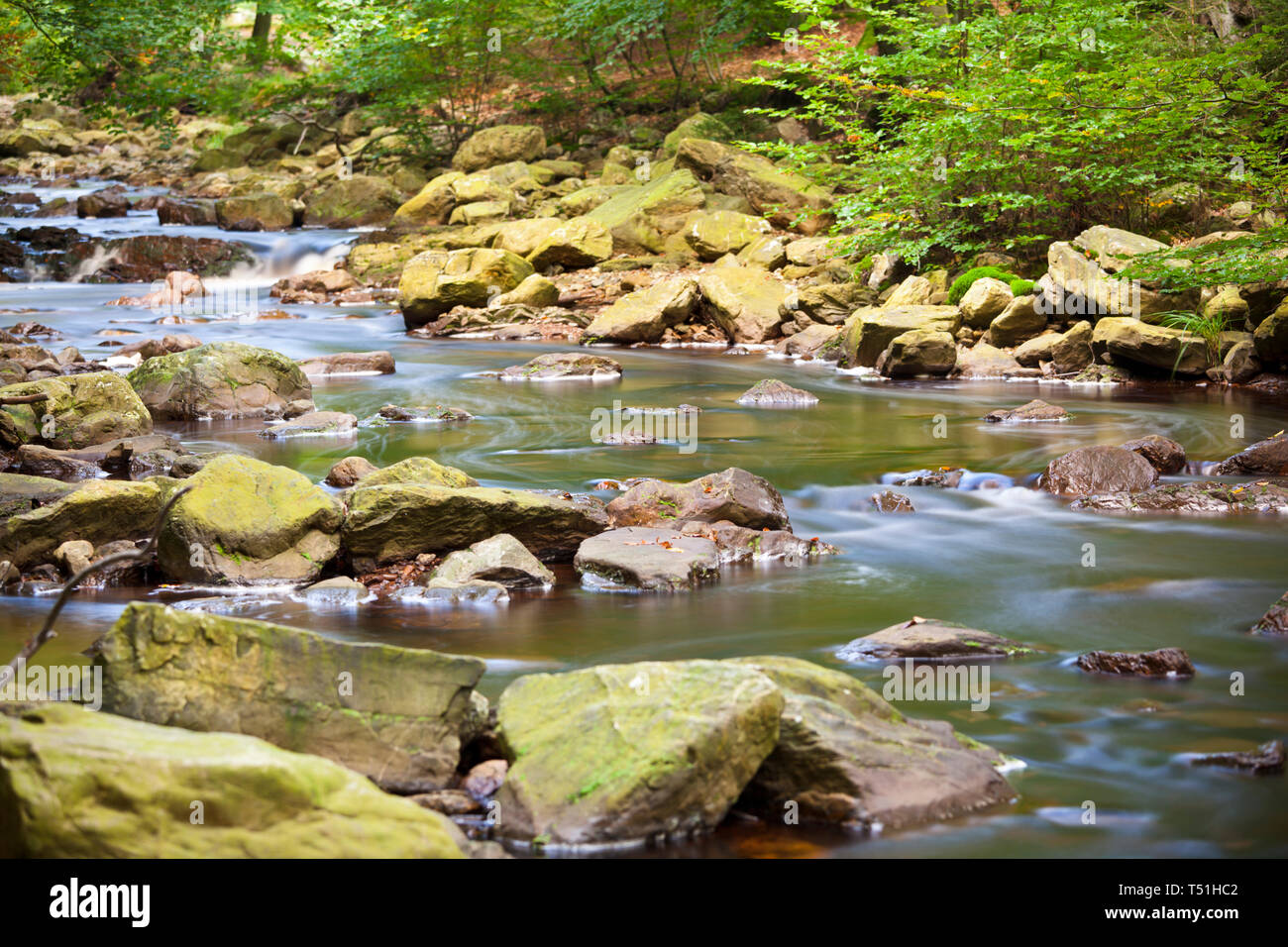 Un ruscello in Hautes Fagnes (Hohes Venn, Hautes Fagnes) in Belgio orientale. Una lunga esposizione shot. Foto Stock