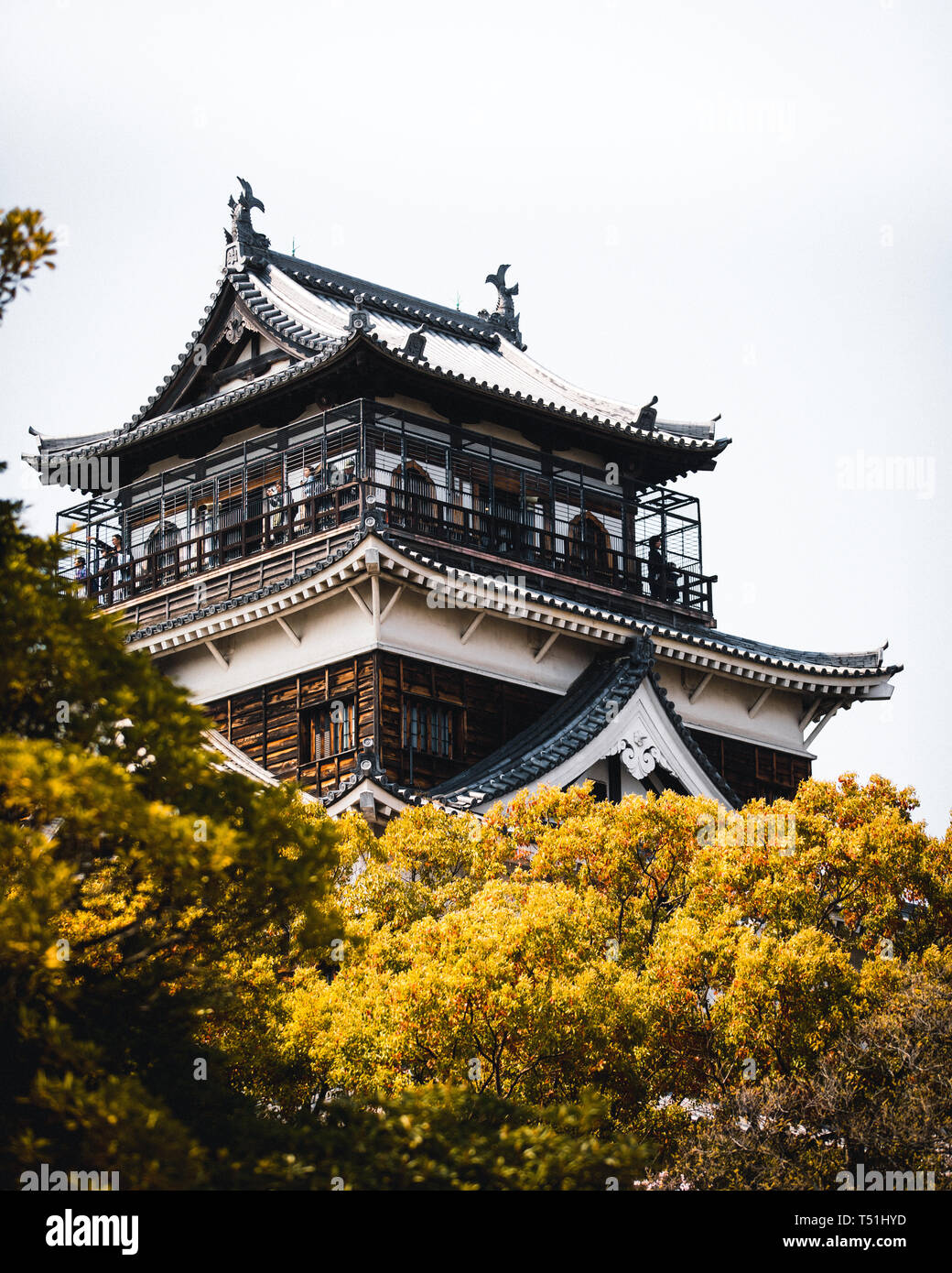 Il Castello di Hiroshima coperte di fiori di ciliegio e fiori Foto Stock