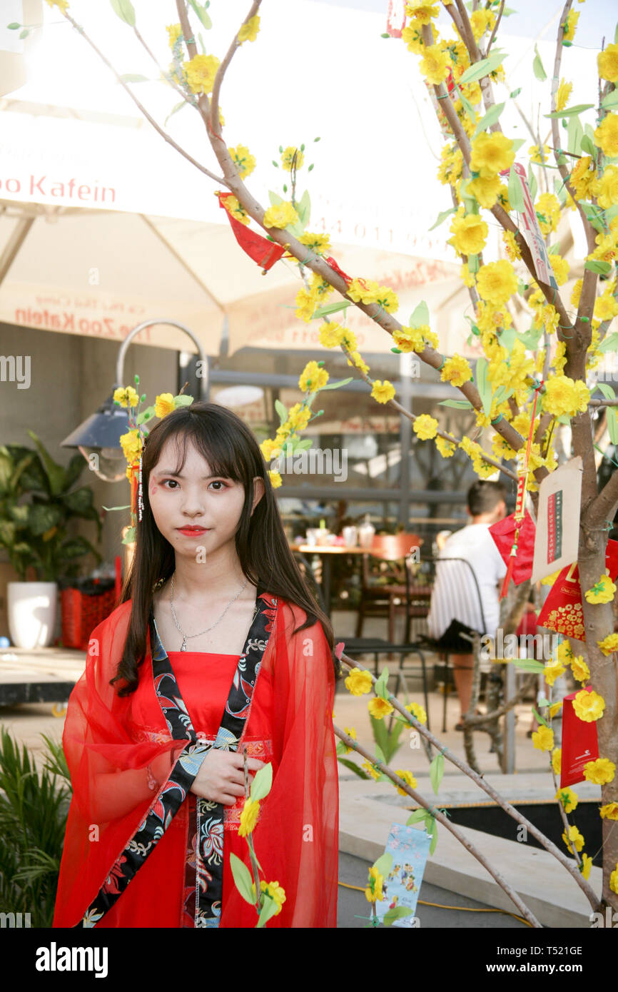 Foto di una ragazza da un albero di albicocche Foto Stock