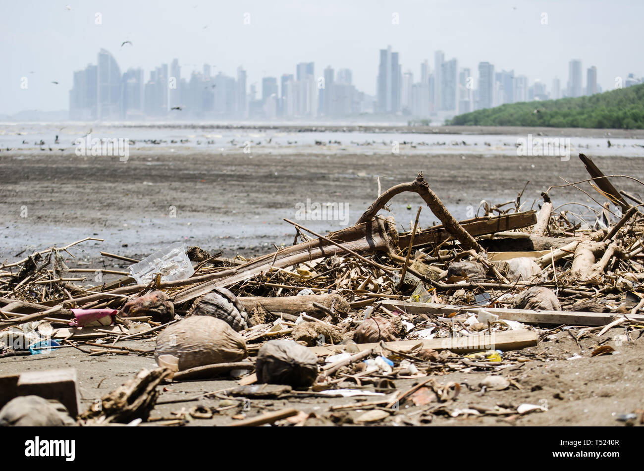 Cestino inquinamento lungo il litorale della Costa del Este Area nella città di Panama Foto Stock