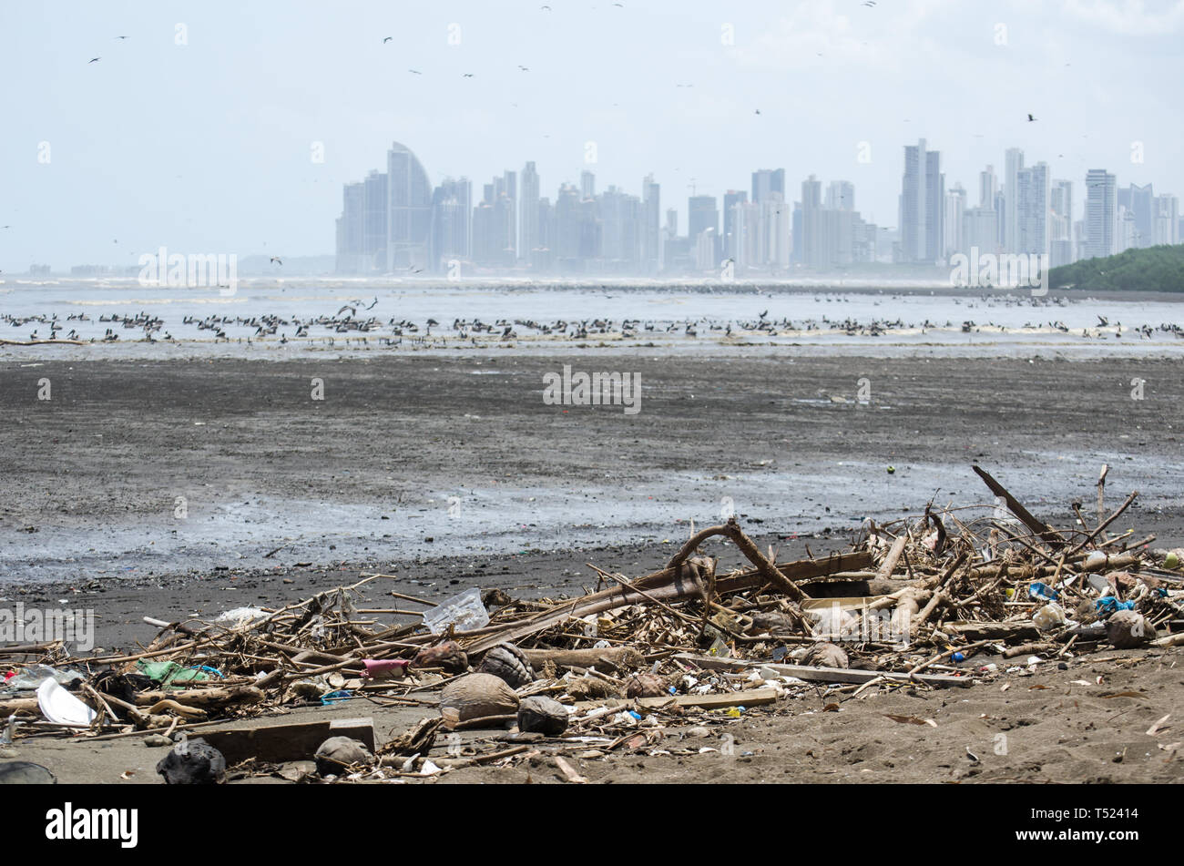 Cestino inquinamento lungo il litorale della Costa del Este Area nella città di Panama Foto Stock