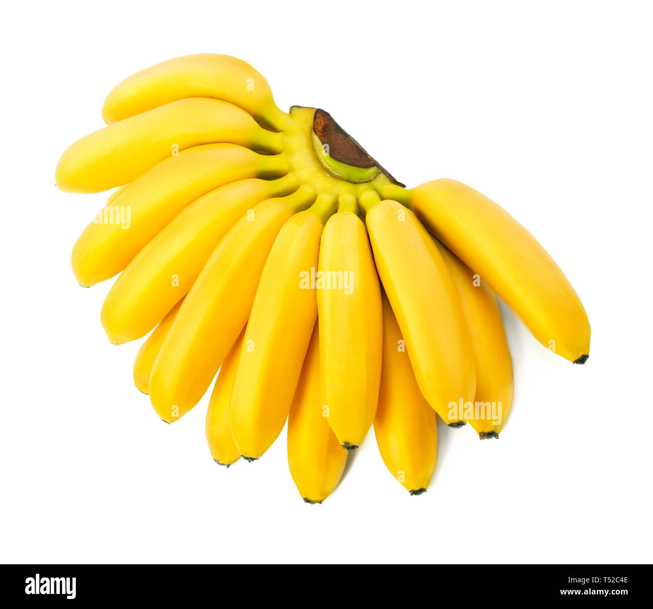 Baby Banana in primo piano isolato su sfondo bianco Foto Stock