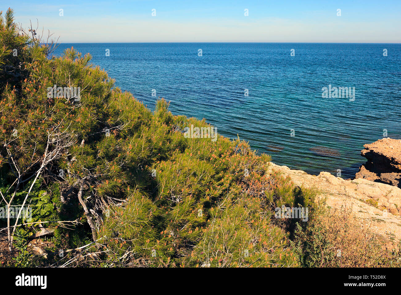 La caletta rocciosa a Los Arenetes in San Antnio riserva marina, Les Rotes, Denia, Spagna Foto Stock