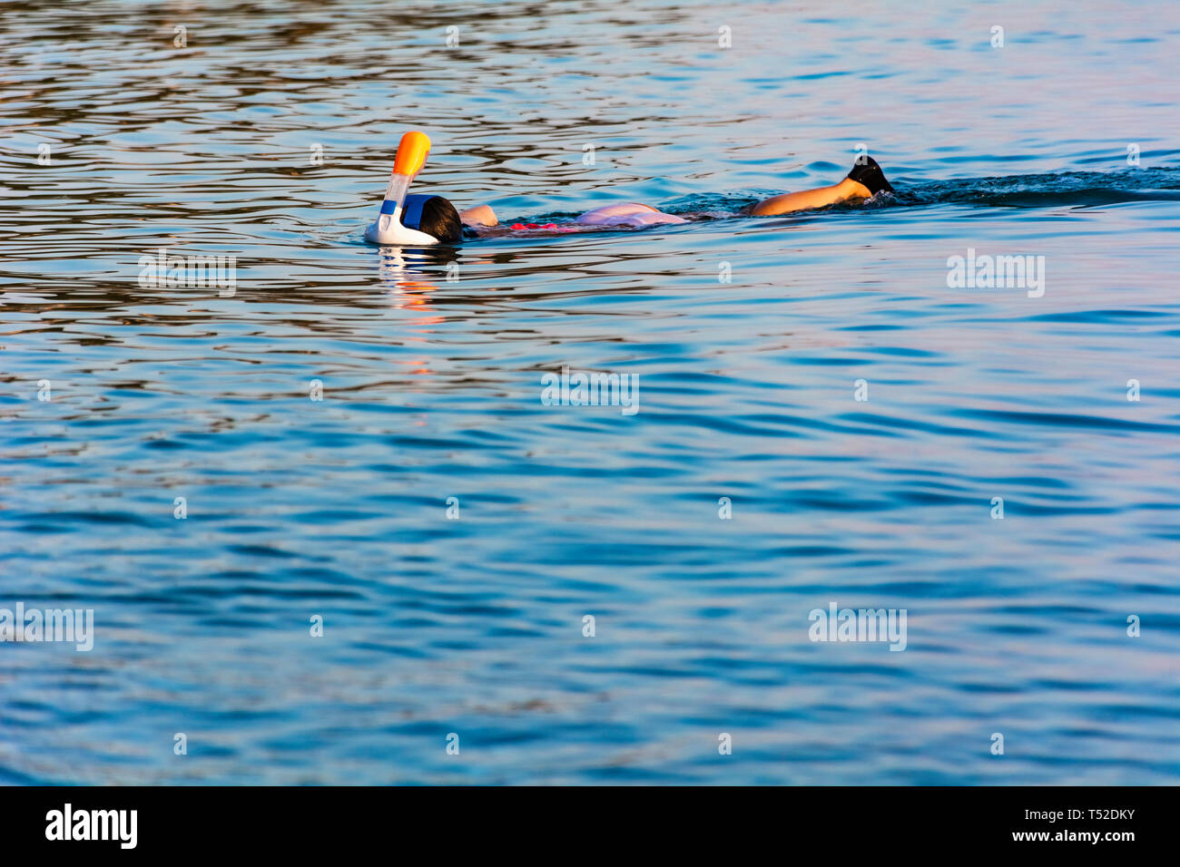 Persona lo snorkeling in acque calme - Uomo immersioni in mare poco profondo - Donna snorkeling immersioni in oceano pacifico Foto Stock