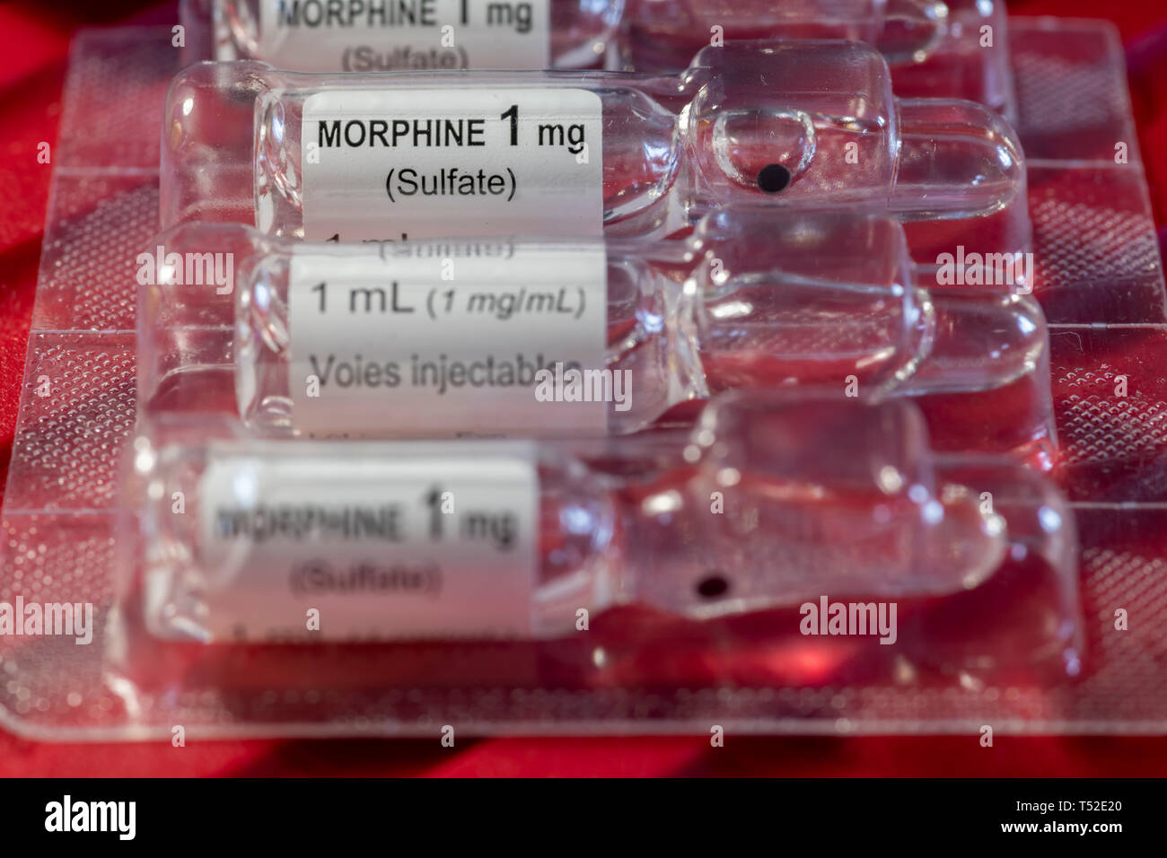 Close-up di solfato di morfina 1 MG/ML FLACONCINO Foto Stock
