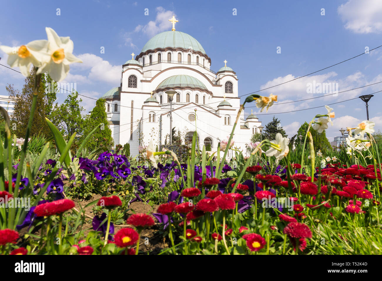 Belgrado San Sava fiori - basso angolo di visione di San Sava chiesa in Vracar area di Belgrado, Serbia, l'Europa. Foto Stock