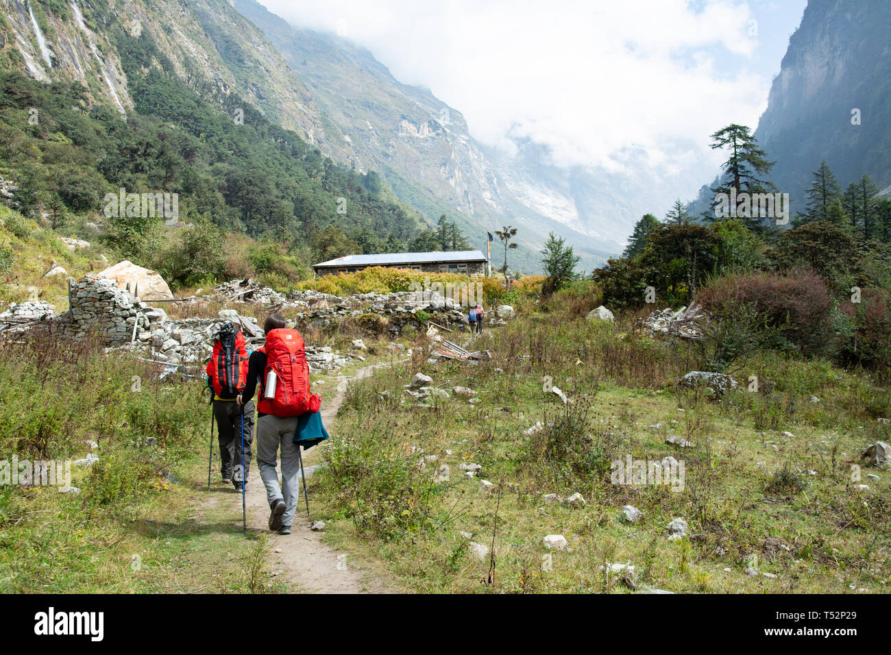 Langtang, Nepal - Ottobre 16, 2016: Escursionisti raggiunge Ghoda Tabela, mentre la loro testa verso Lang tang valley in Nepal. Foto Stock