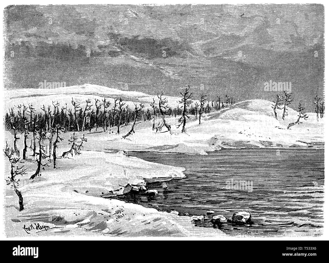 Nord siberiano timberline, Ernst Heyn 1897 Foto Stock