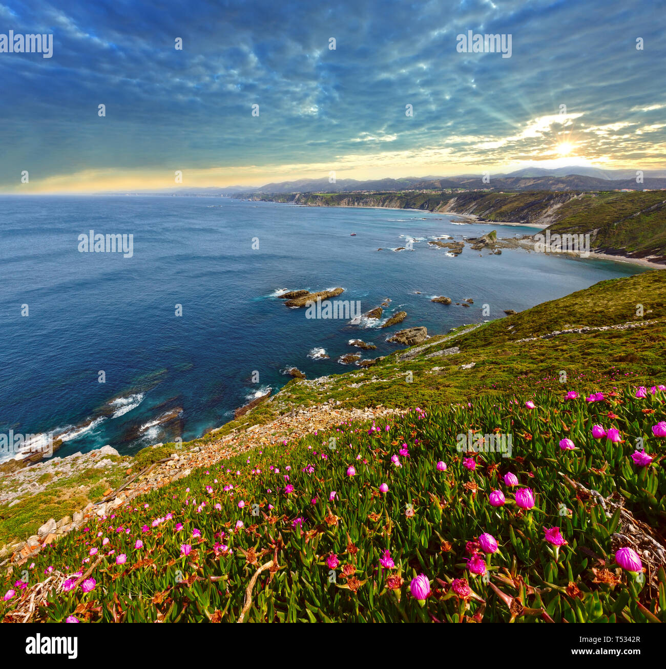 Fioritura estiva Cape Video tramonto paesaggio, costa Asturiana, Cudillero, Spagna Foto Stock